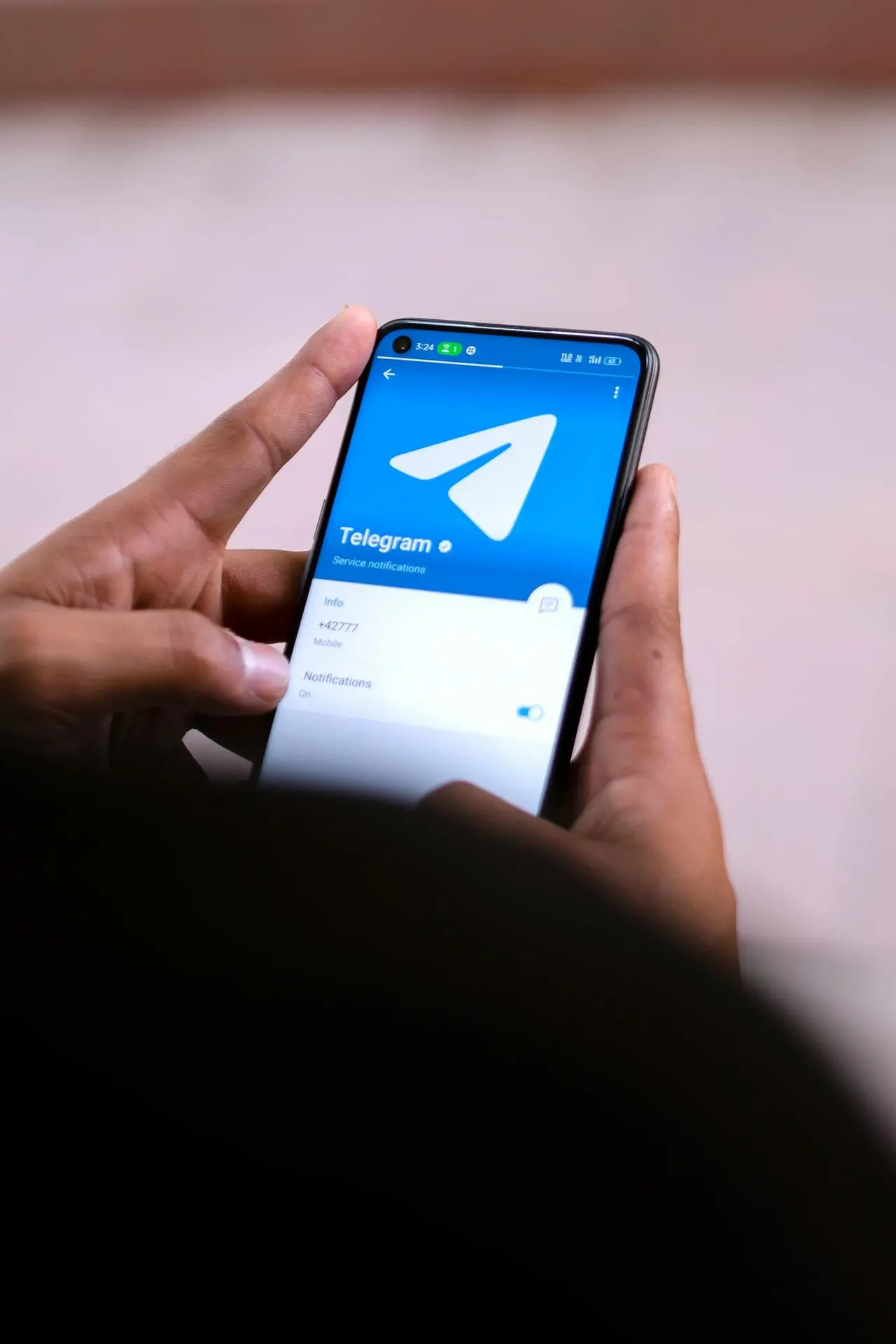 Fichar con Telegram - consultas